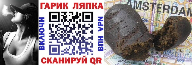 ГАШ Изолятор  Лесной 
