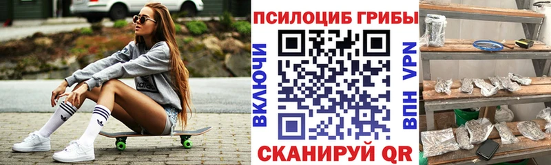 даркнет сайт  hydra маркетплейс  Псилоцибиновые грибы GOLDEN TEACHER  Лесной 