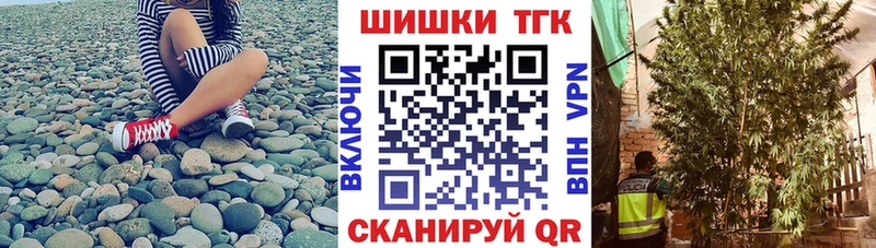 Конопля THC 21%  продажа наркотиков  Лесной 